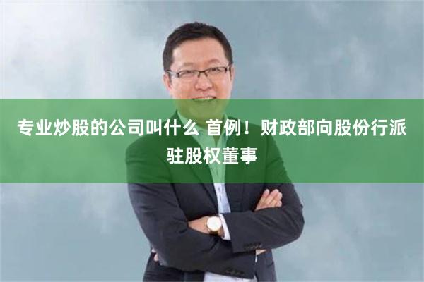 专业炒股的公司叫什么 首例！财政部向股份行派驻股权董事