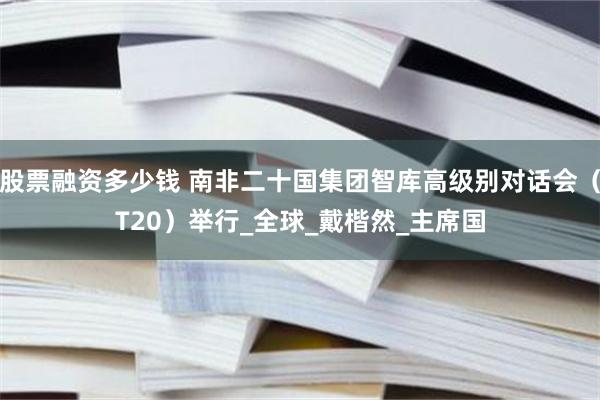 股票融资多少钱 南非二十国集团智库高级别对话会（T20）举行_全球_戴楷然_主席国