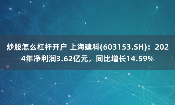 炒股怎么杠杆开户 上海建科(603153.SH)：2024年净利润3.62亿元，同比增长14.59%