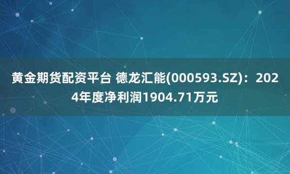 黄金期货配资平台 德龙汇能(000593.SZ)：2024年度净利润1904.71万元