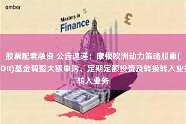 股票配套融资 公告速递：摩根欧洲动力策略股票(QDII)基金调整大额申购、定期定额投资及转换转入业务