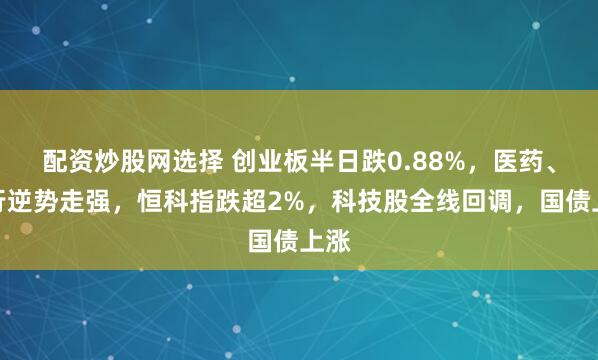 配资炒股网选择 创业板半日跌0.88%，医药、银行逆势走强，恒科指跌超2%，科技股全线回调，国债上涨