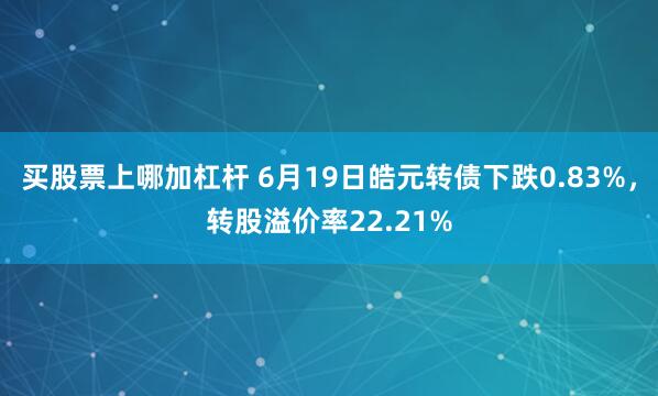 买股票上哪加杠杆 6月19日皓元转债下跌0.83%，转股溢价率22.21%